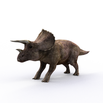 shadow density support